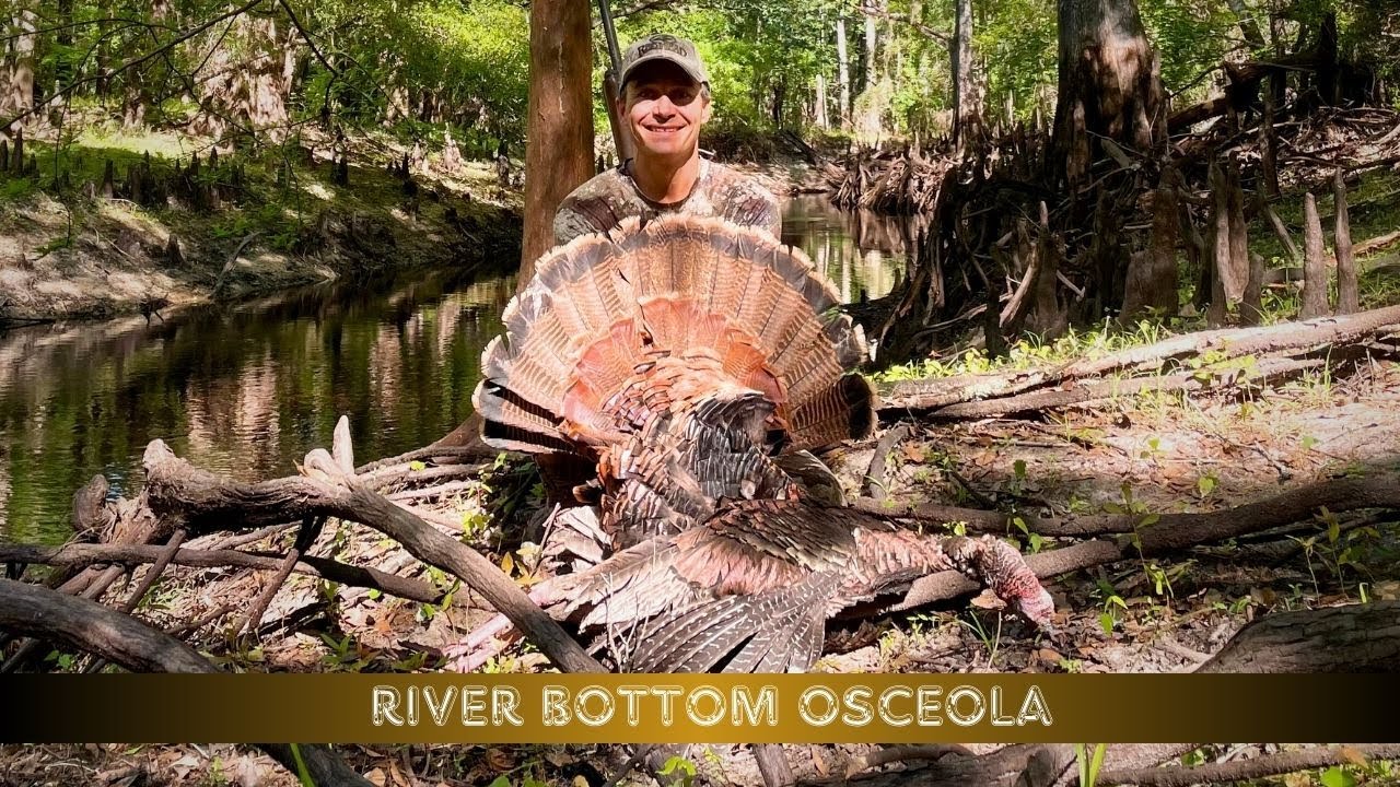 OSCEOLA HUNTING on FL WMA ~ A River Bottom Adventure