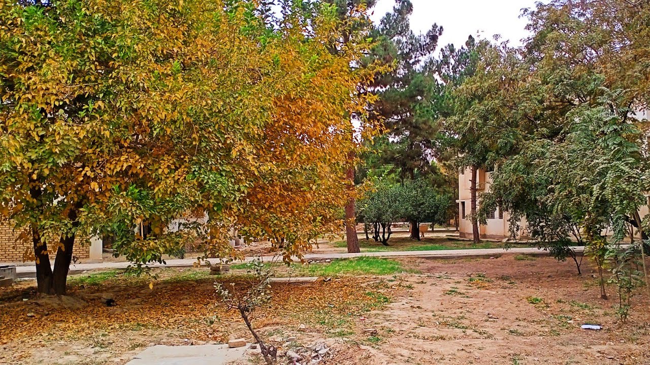 winter first rain