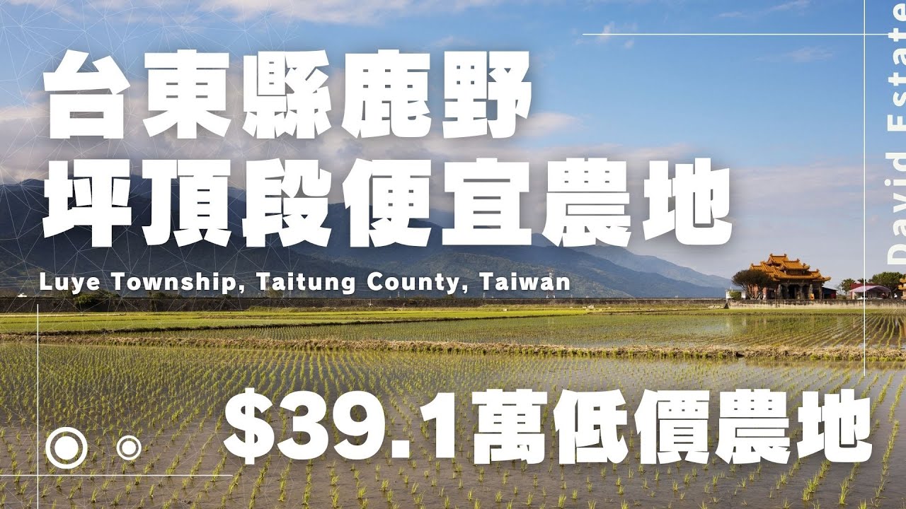 法拍土地-台東縣鹿野鄉-坪頂段便宜農地｜總底價$39.1萬｜農牧用地｜瑞源車站｜David Estate
