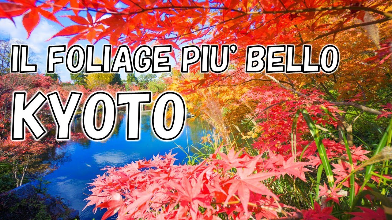 IL FOLIAGE 2022 PIU' BELLO A KYOTO - IL TEMPIO EIKANDO