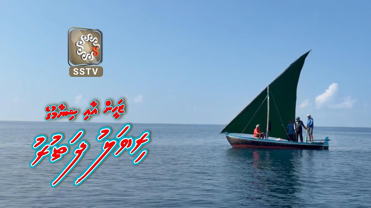 Zaheen aai Shiyamge Riyalu Dhathuru