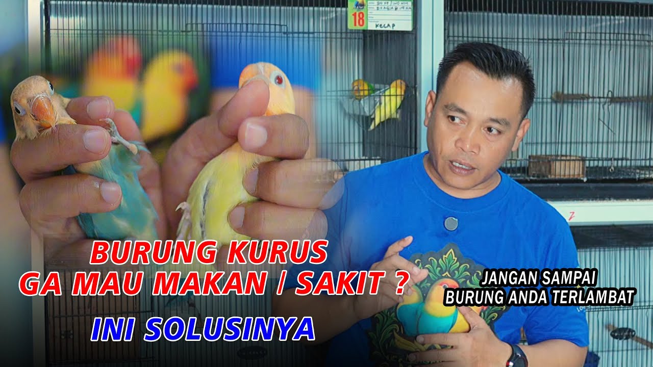 JANGAN SAMPAI ANDA TERLAMBAT !!! INI OBATNYA