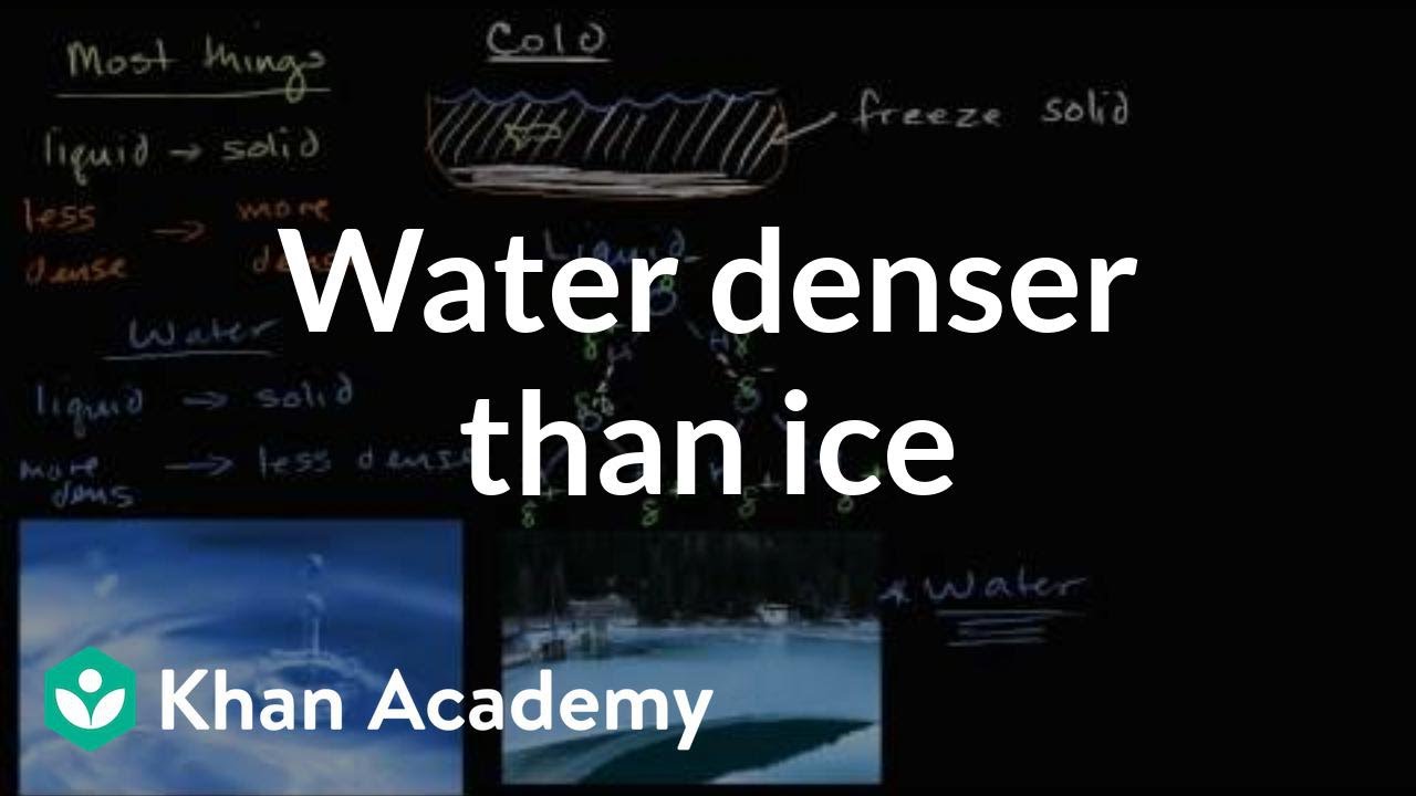 Liquid water denser than solid water (ice) | Biology | Khan Academy