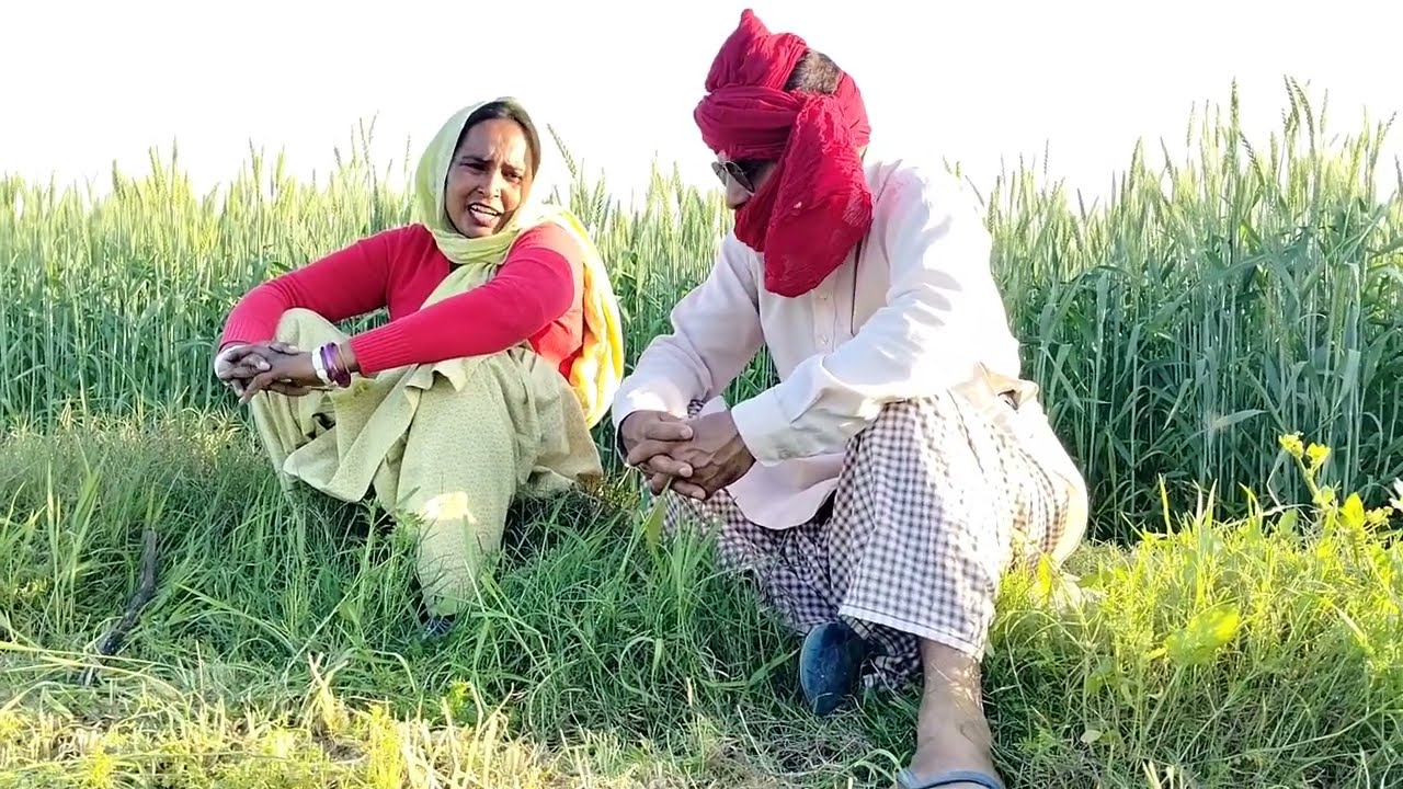 ਖੇਤ ਬੁਲਾ ਕੇ ਮੂਲੀ ਦੇ ਤੀ || SHORT FILM 2025 ||DXX TV || NEW PUNJABI FILM