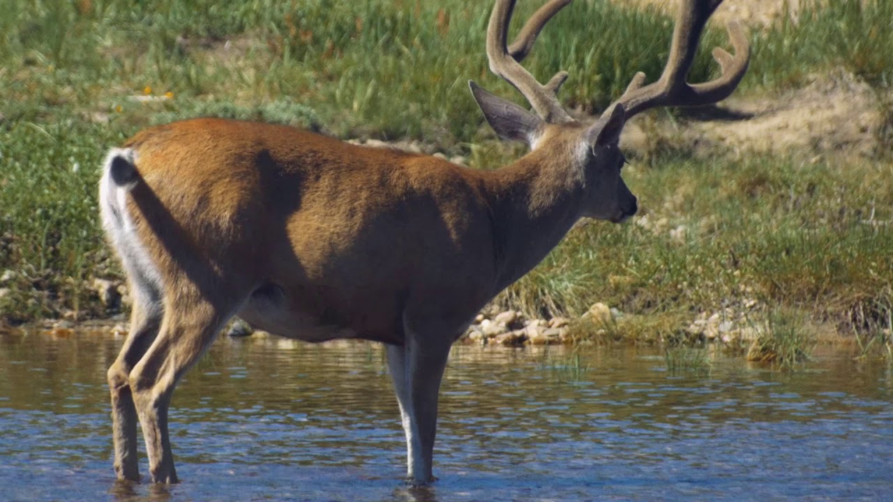 Santa Cruz River Heritage Project