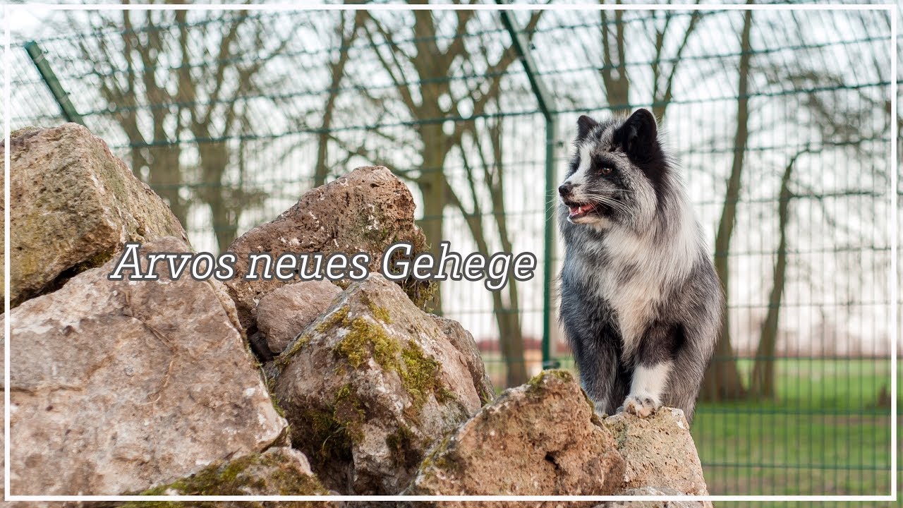 Lebenshof Gut Weidensee: ❤️ Lasst Euch verewigen ❤️ und werdet Teil unseres neuen Fuchsgeheges.