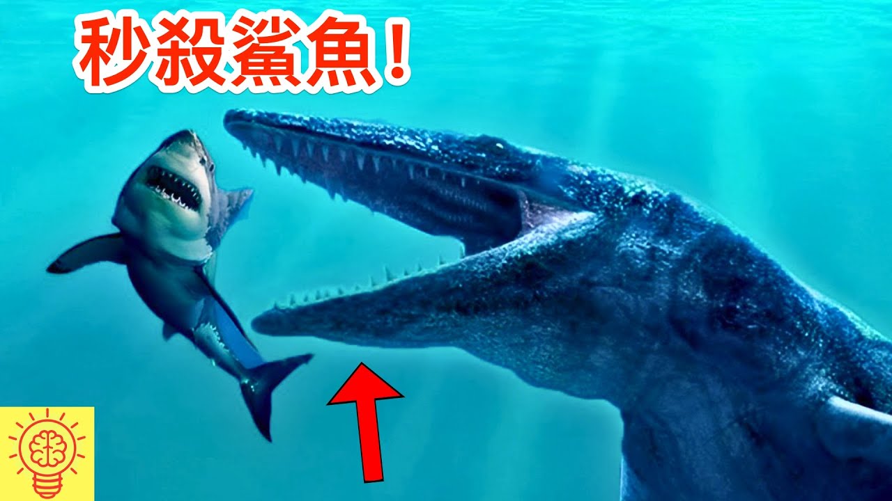 這些恐怖生物會讓你重新考慮下水!  第8能秒殺鯊魚！