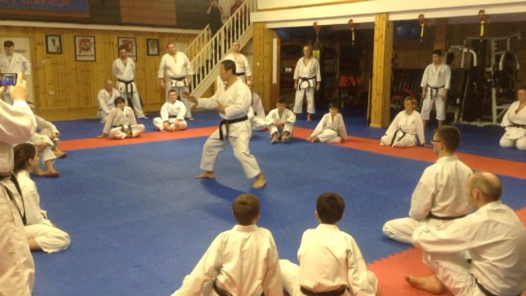 Kagawa Sensei Seminar March 14th 15th 2014