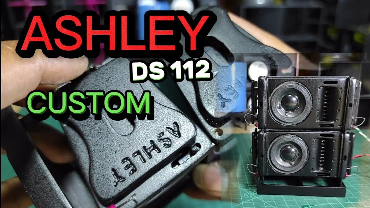 Ashley ds 112 mini, line array