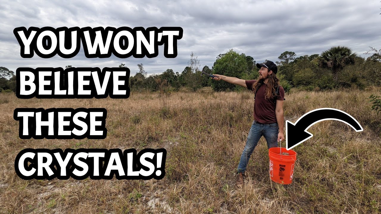 You've NEVER SEEN Calcite Crystals Quite Like This! EPIC Florida Fossil Hunting and Rockhounding