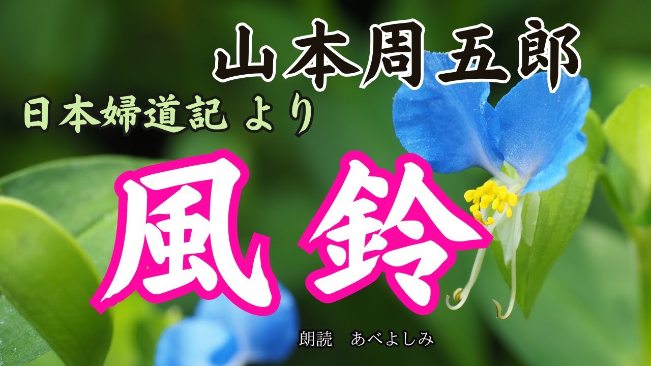 【朗読】山本周五郎・日本婦道記より「風鈴」　朗読・あべよしみ