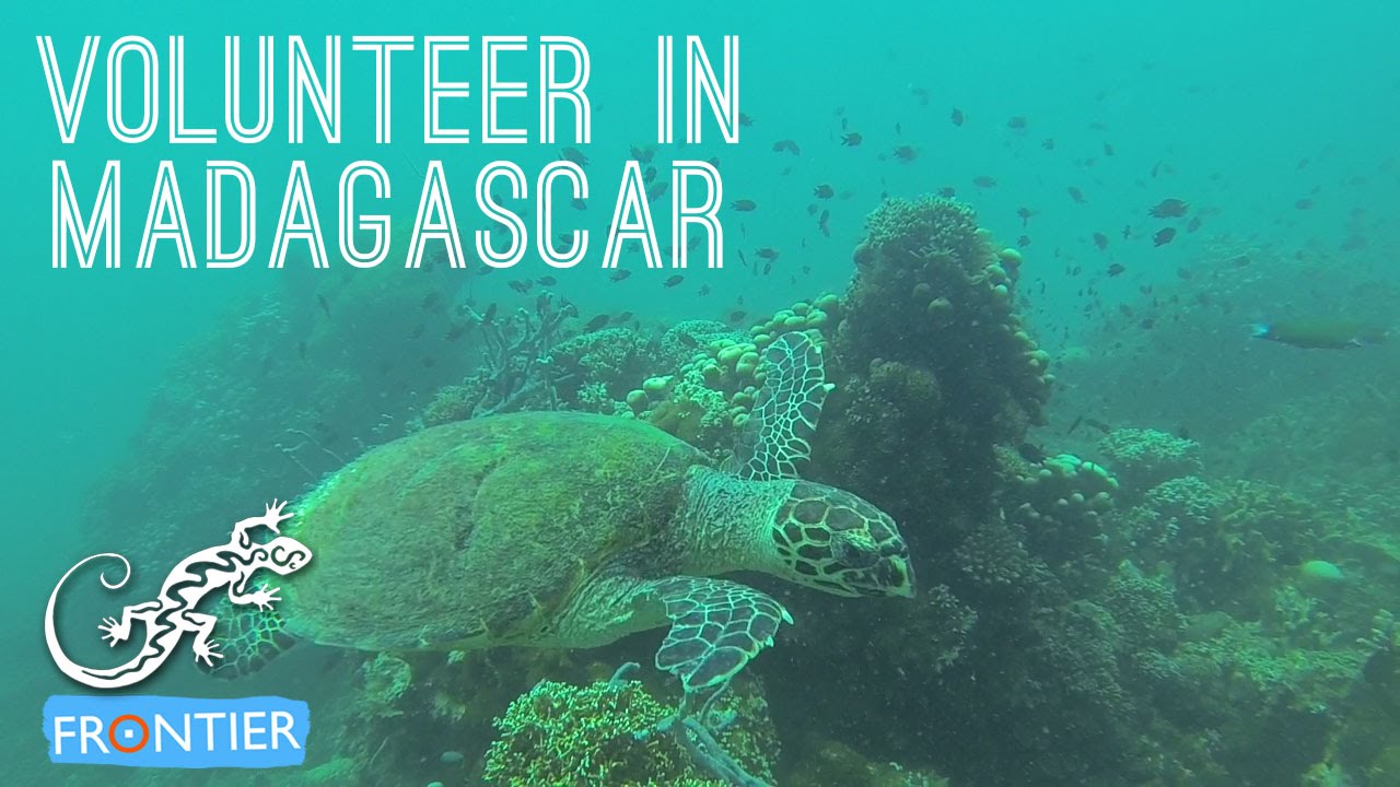 Volunteer in Madagascar