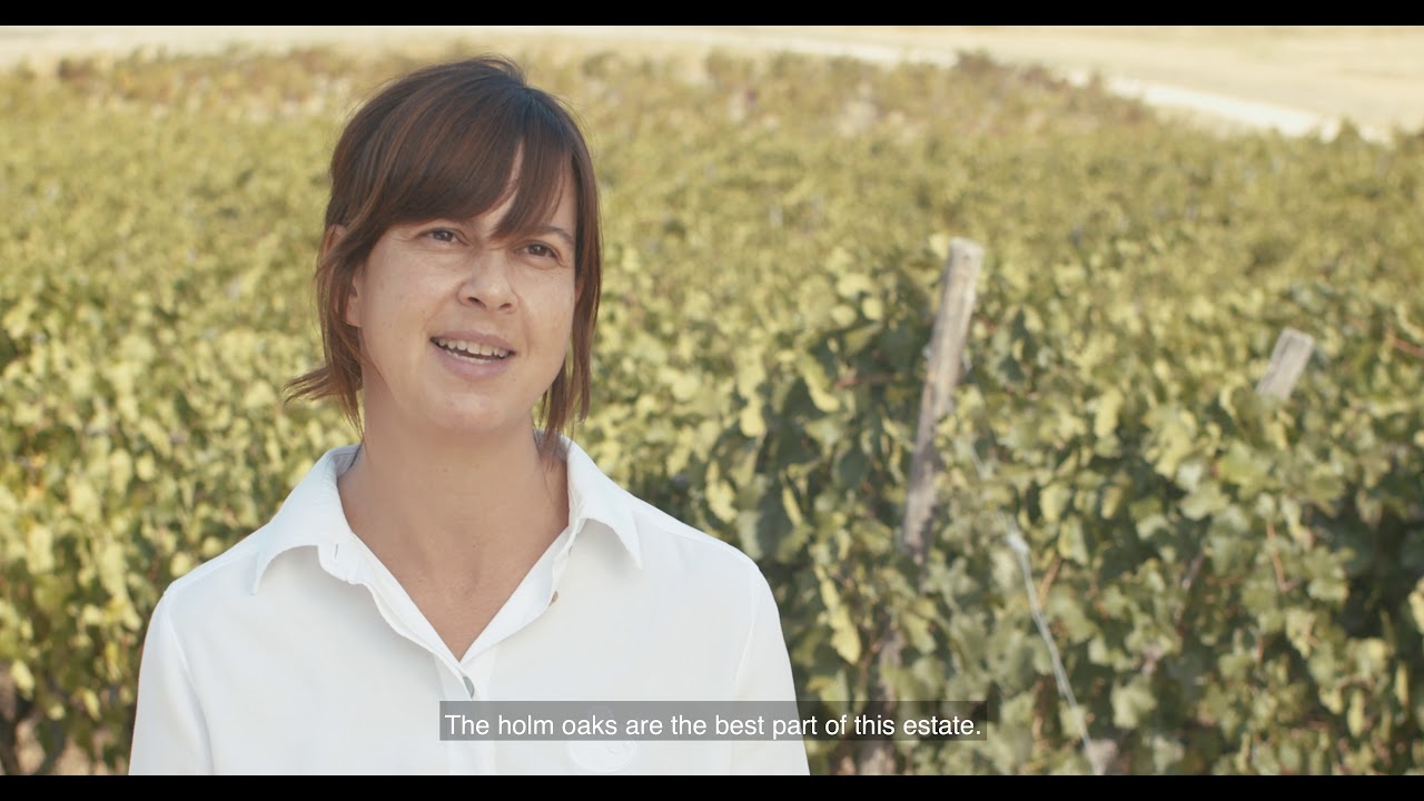 Bodega Melonera | The Project