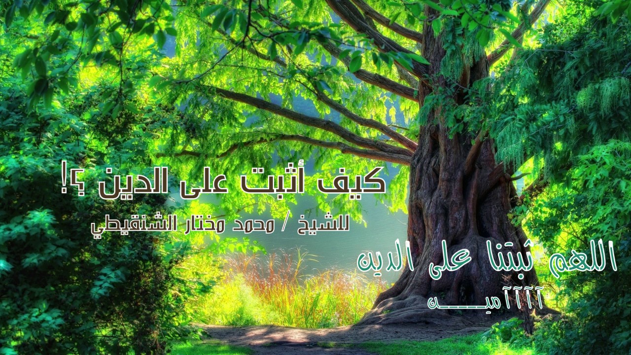 كيف أثبت على الدين #كلمات مؤثرة جداا | للشيخ محمد مختار الشنقيطي