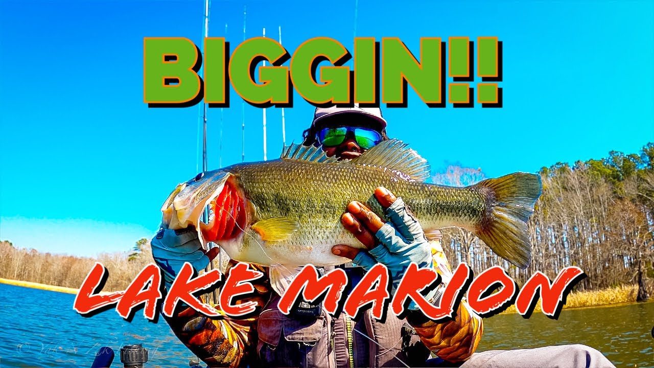 That Worked Out Better Than Expected | Kayak Bass Fishing Santee Cooper