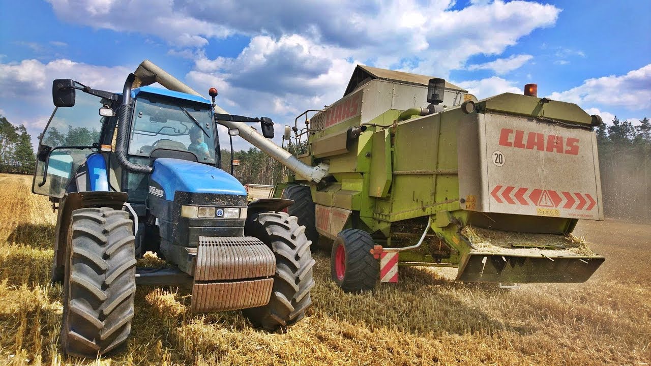 Żniwa 2019 II Claas Dominator 208 II New Holland TM135 II