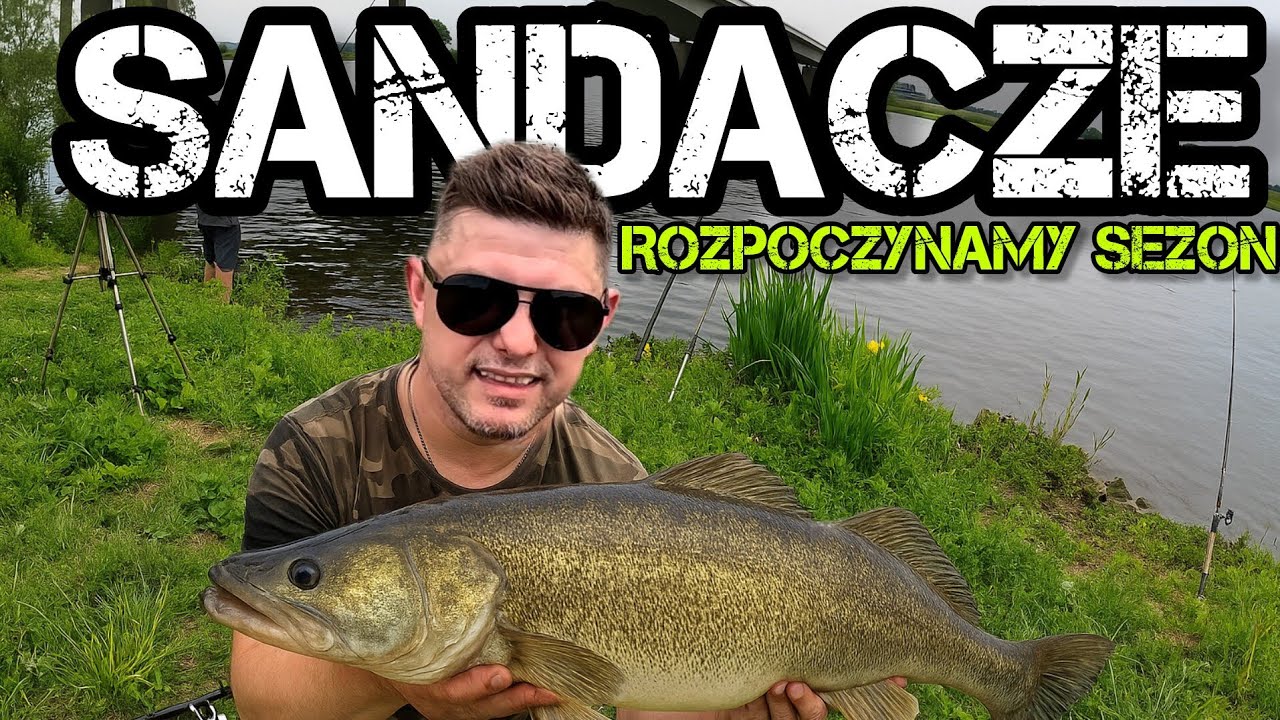 Sandacz 2025 – Jak skutecznie łowić na martwą rybkę? Start sezonu!