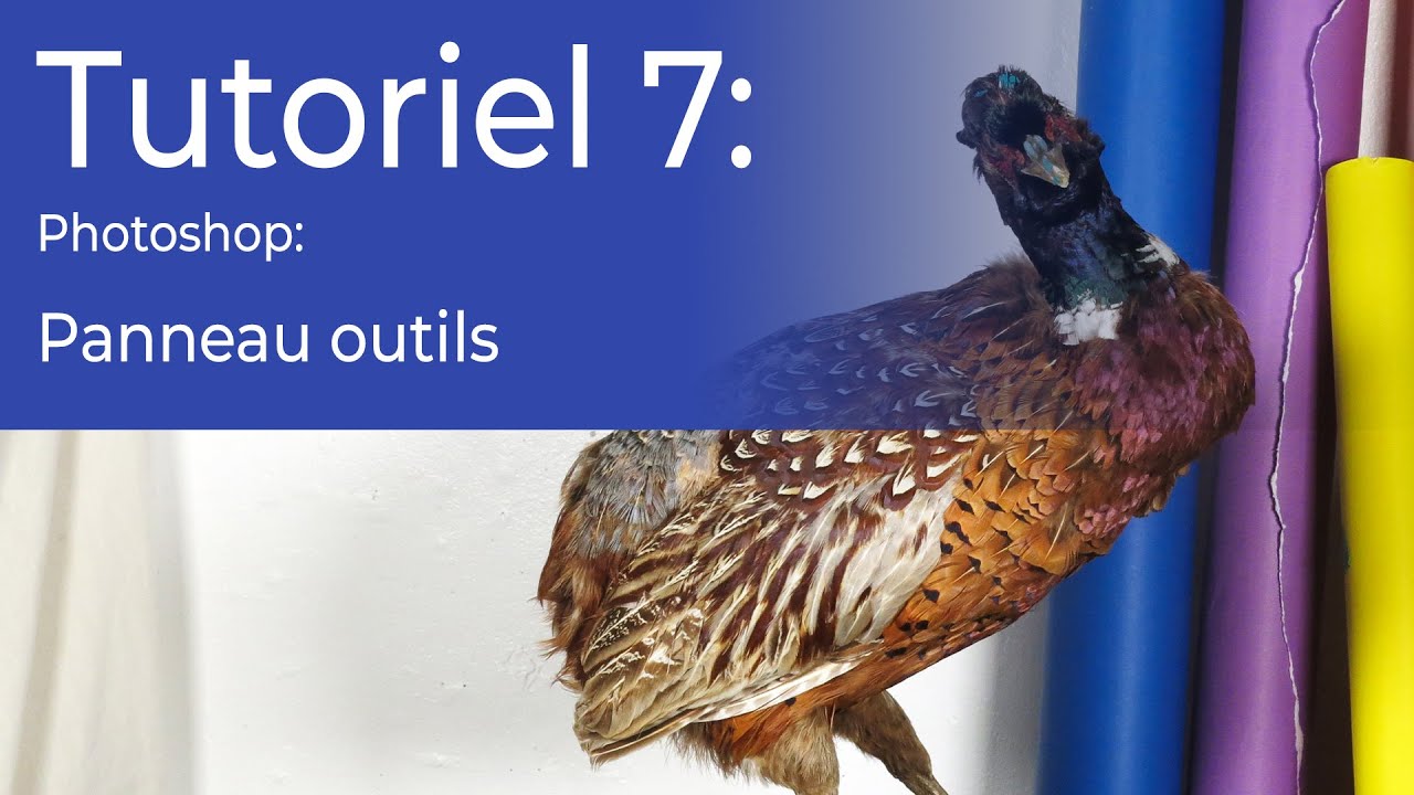Tutoriel 7 - Photoshop Panneau outils