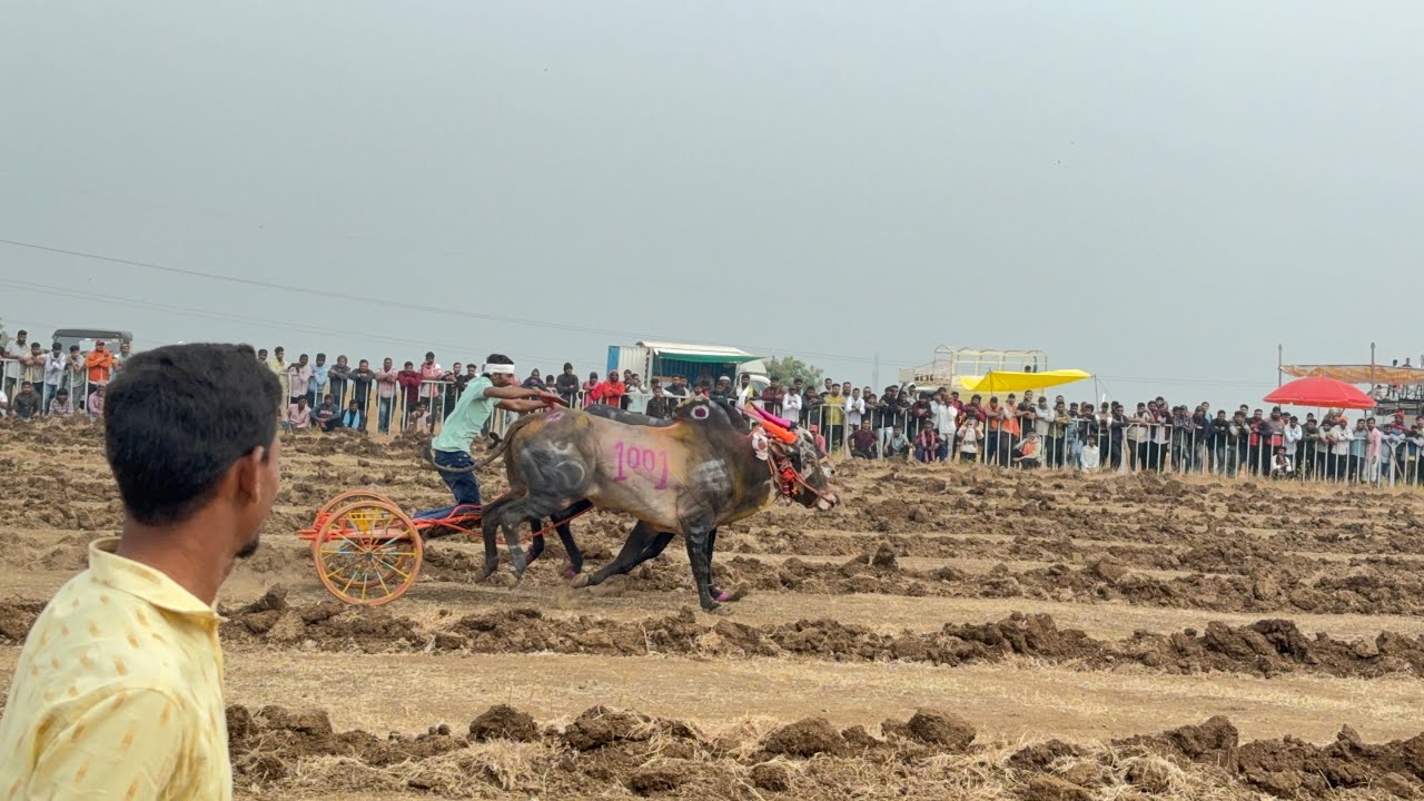 मथुर १००१ गटाचा व्हिडिओ 
