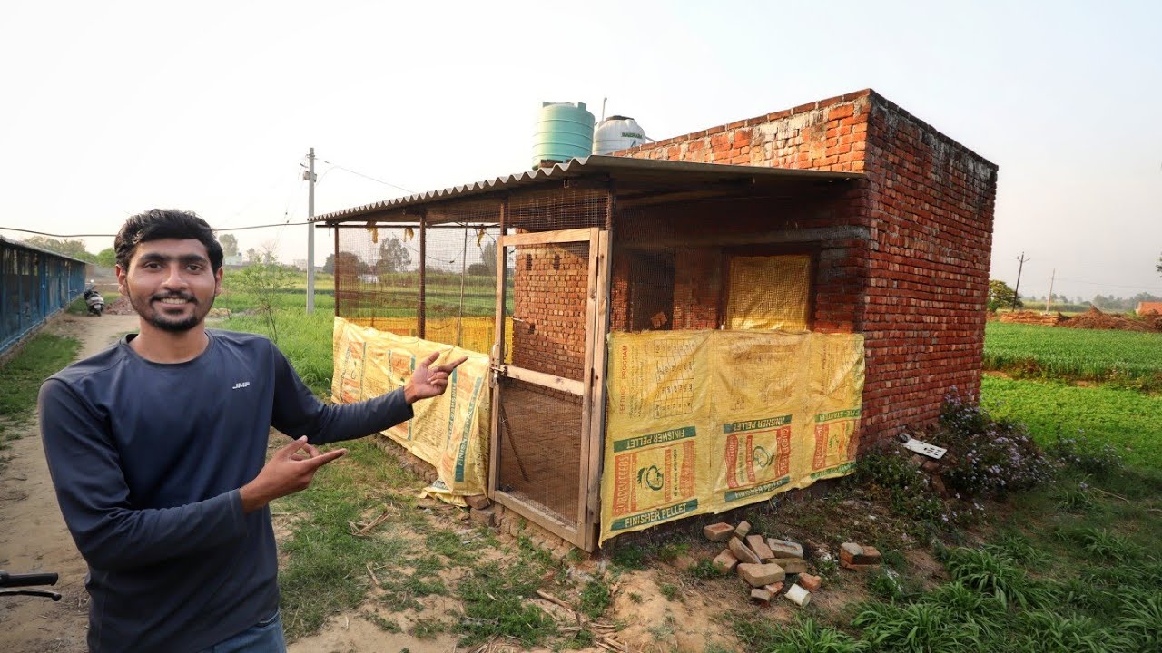 my small desi chicks farm house
