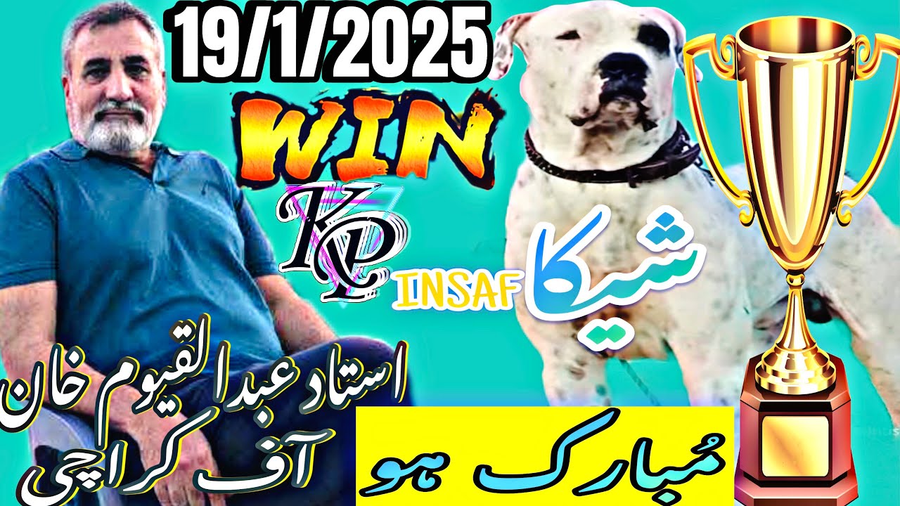 شیکا اور استاد خان قیوم صاحب کو میچ جیتنے پر UK اور PAKISTAN سے مبارکباد آئی || PK INSAF KHAN QAYYUM