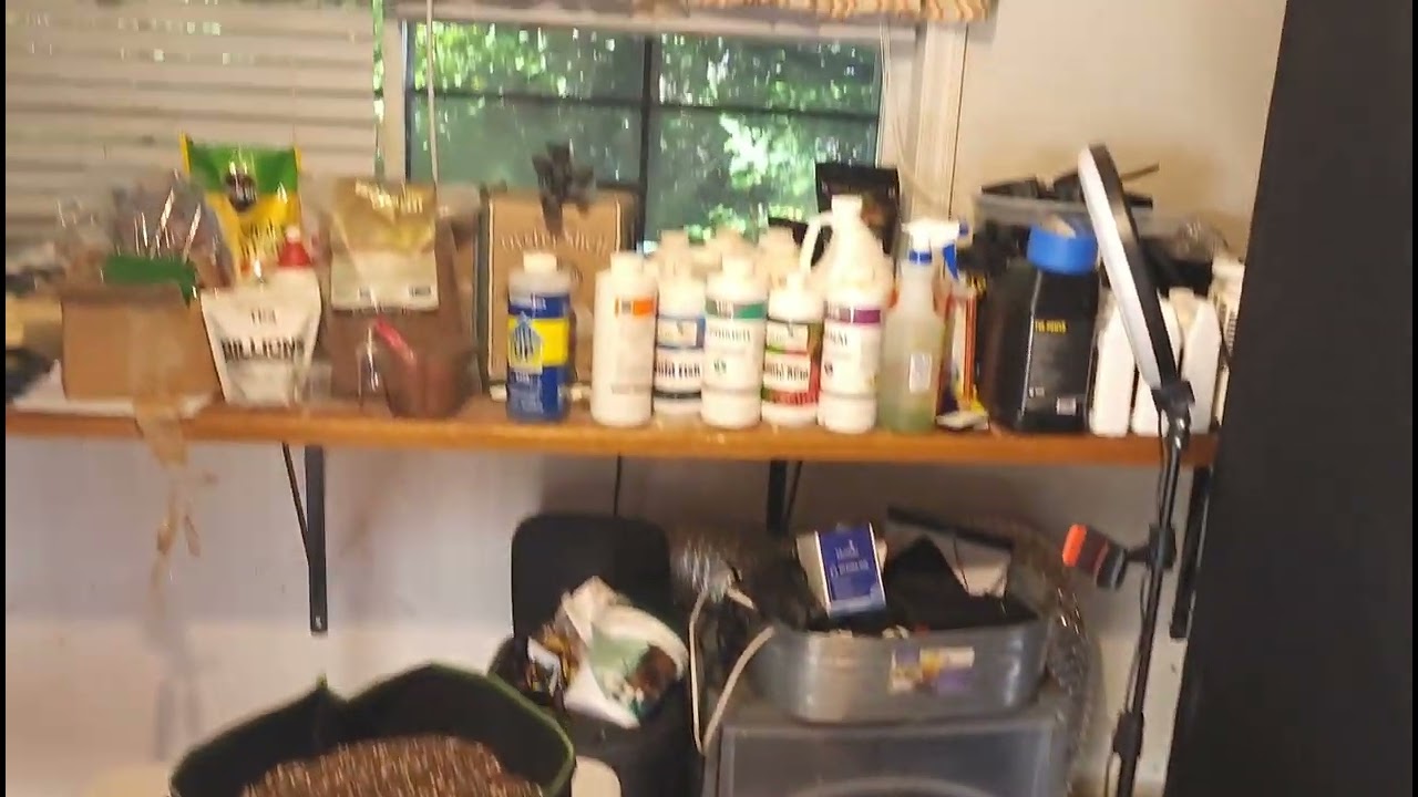 How to Scrog for more flower sites! Check out all the discount codes in description!