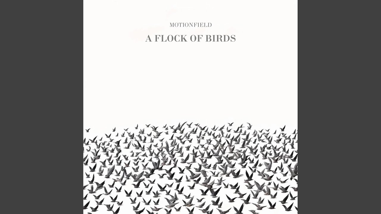 A Flock Of Birds part five