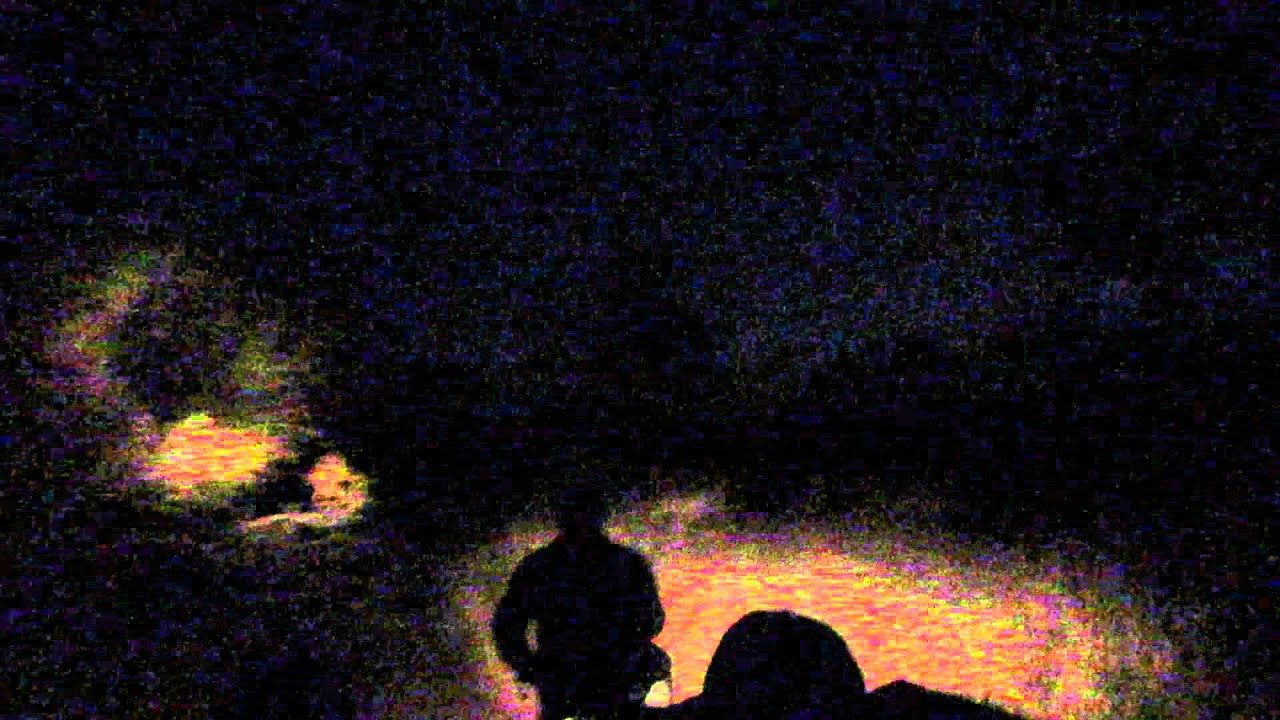 Night Game Drive