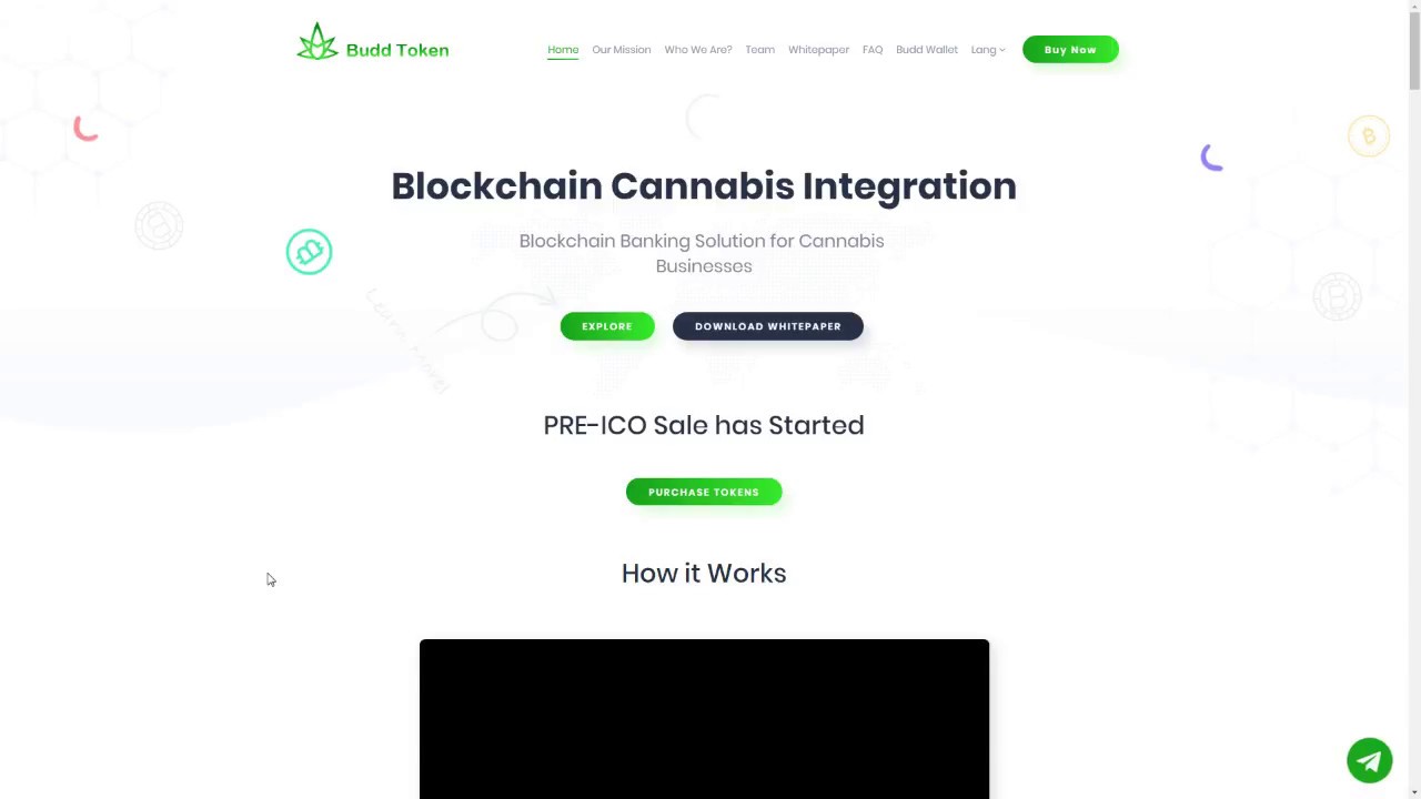 ICO. Bounty. Sponsored video. BUDD Token. Обзор проекта