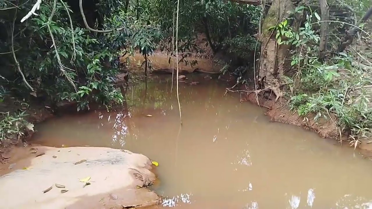 Sítio 29,980 hectares R$ 410,000 mil 15,km de fruta de leite mg Norte minas gerais ZAP 38)999379597