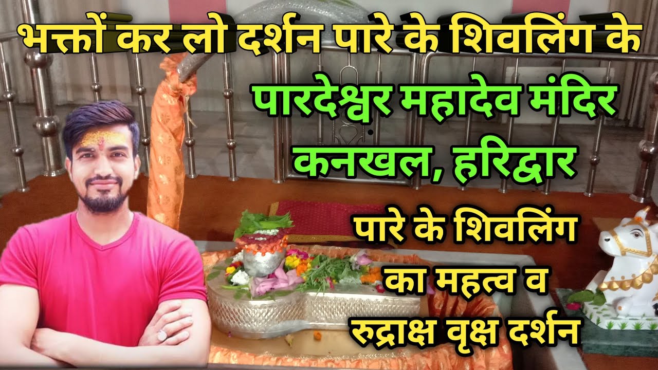 पारे के शिवलिंग का महत्व || रुद्राक्ष वृक्ष || पारदेश्वर महादेव मंदिर कनखल हरिद्वार
