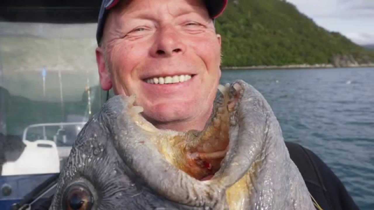 Rotsund Seafishing