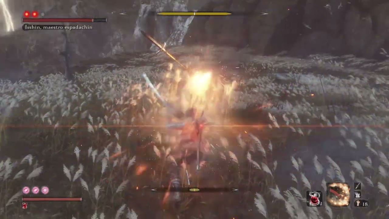 Sekiro - isshin