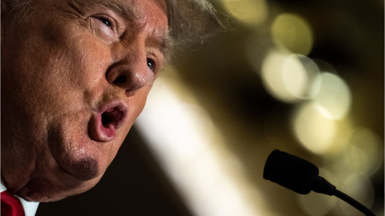 Voter support for Trump spikes after FBI raid: Poll
