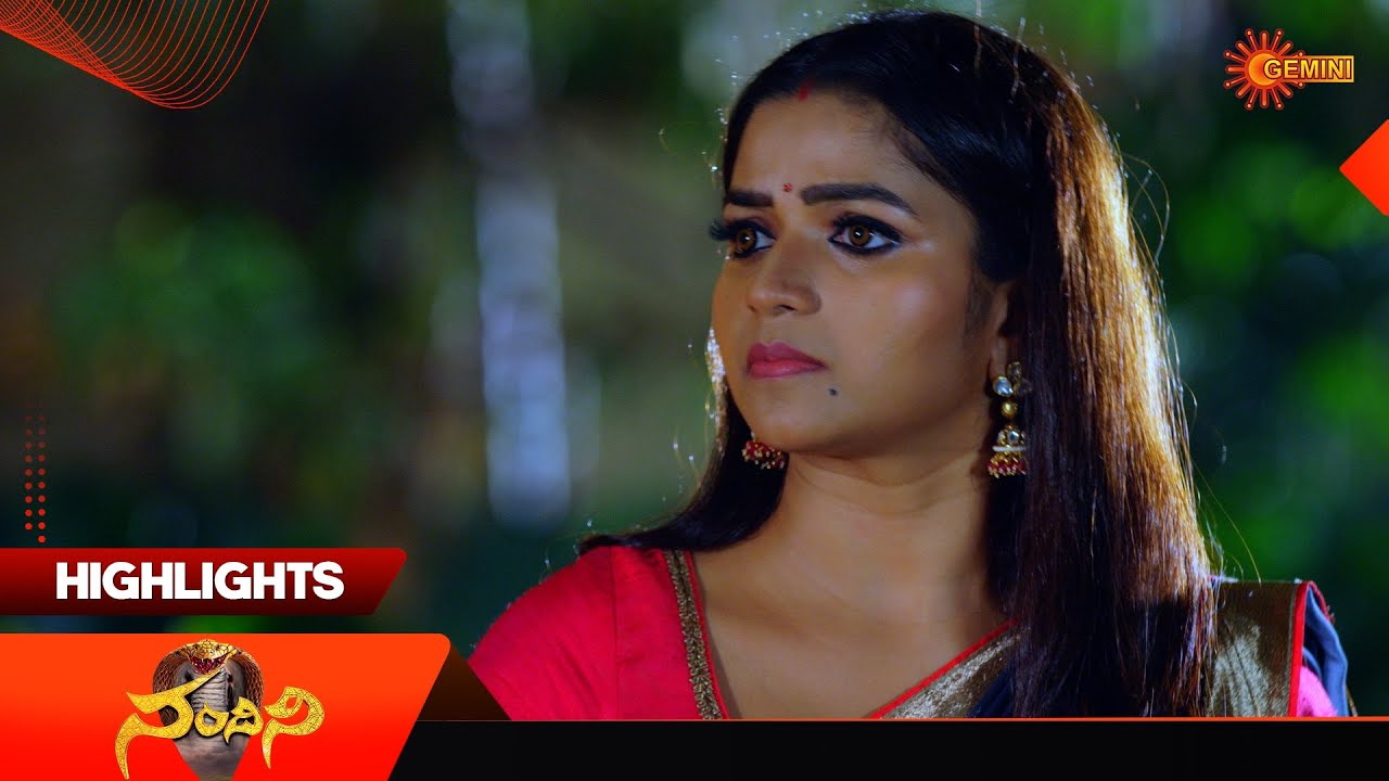 Nandini - Highlights of the day | Watch full EP Sun NXT | 15 Dec 2025 | Gemini TV