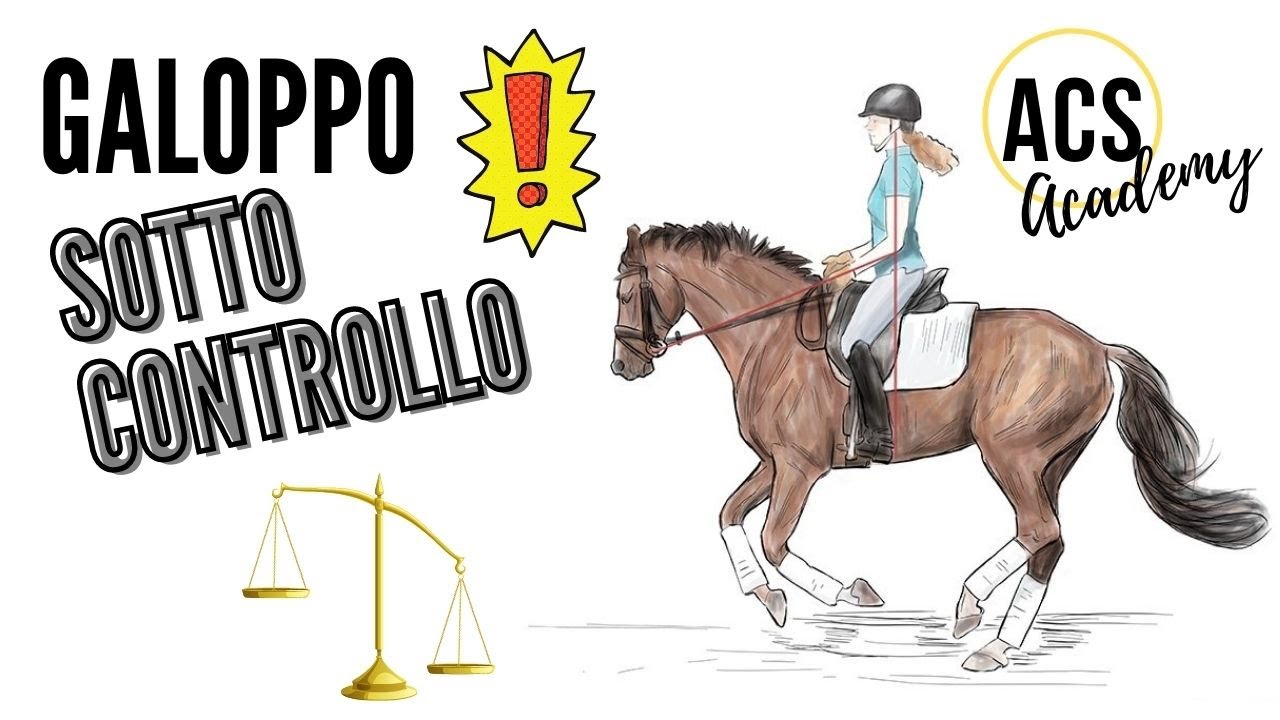 Equitazione: Galoppo sotto controllo!
