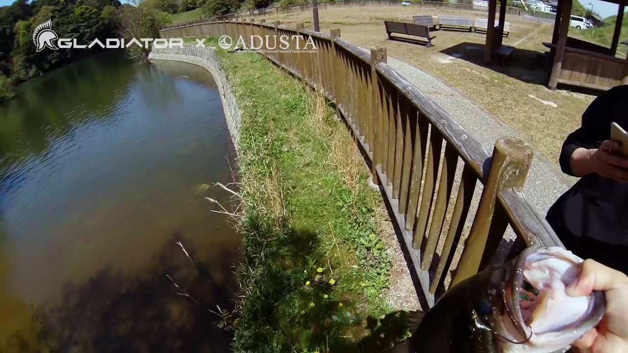 ADUSTA x GLADIATOR Collaboration - Pick Tail swimmer