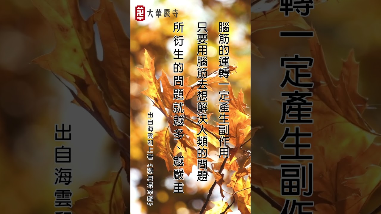靈性的問題不能只靠大腦來解決。#生命教育 #靈性教育 #靈性課程
