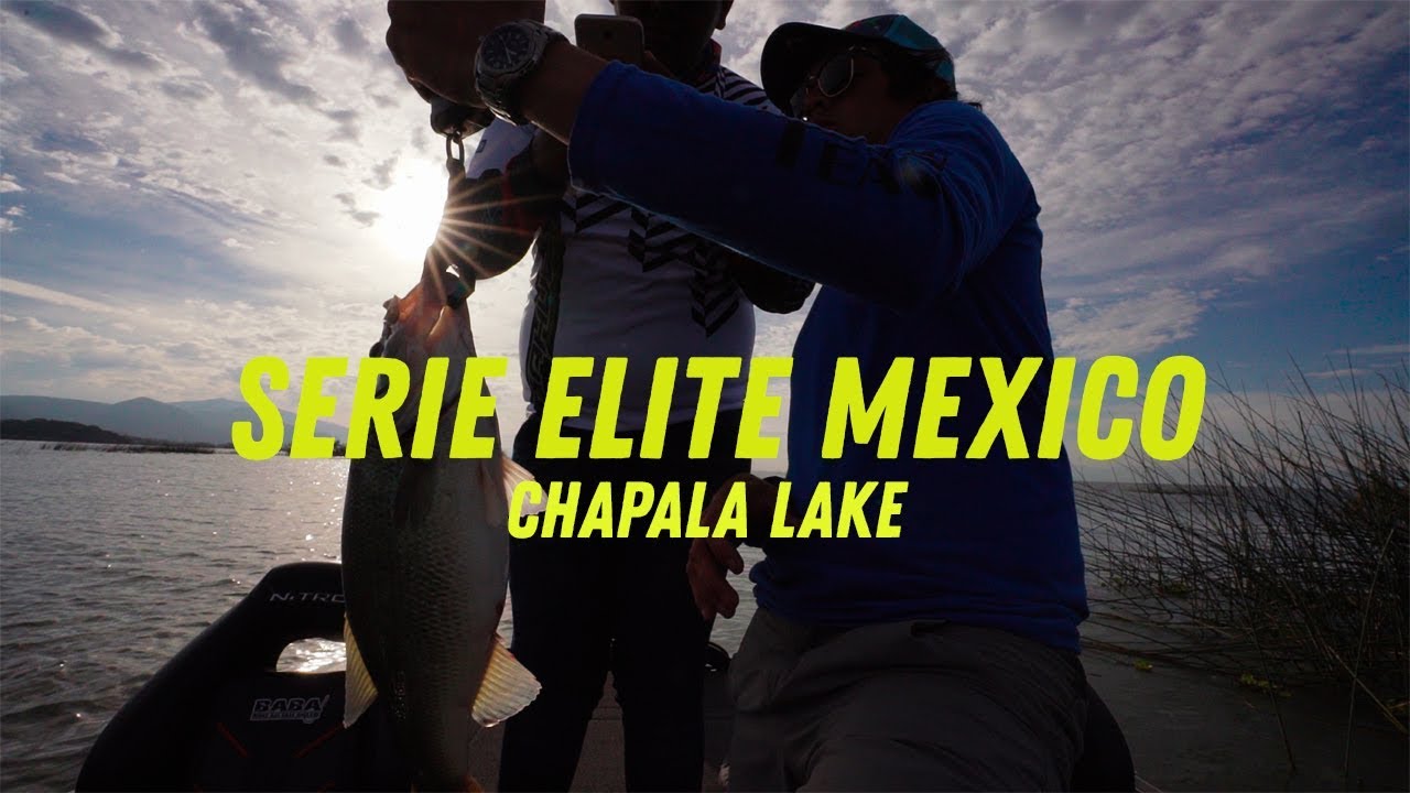 EXCELENTE PESCA EN CHAPALA EN TORNEO! Sera suficiente para ganar?