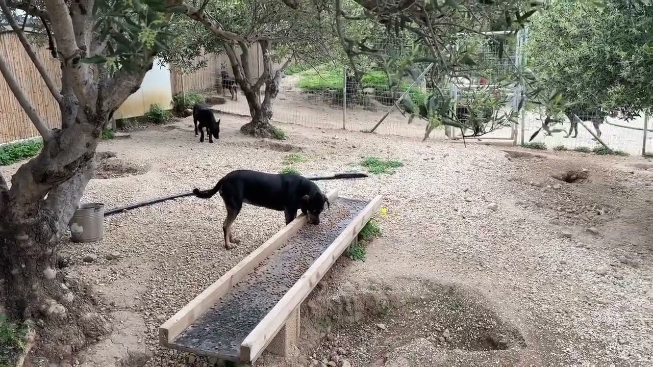 River Was Almost Dead&hellip; Now He&rsquo;s Happy With His Girlfriend Brooke ❤️- Takis Shelter