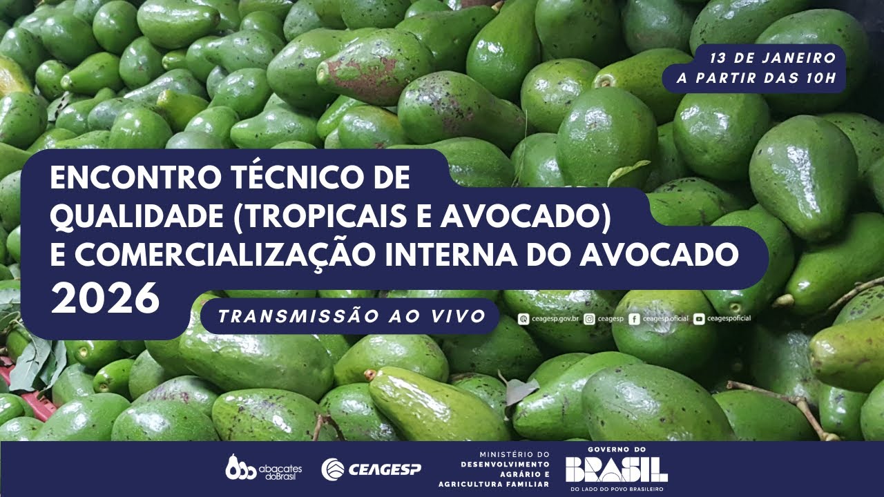 Encontro Técnico de Qualidade (Tropicais e Avocado) e Comercialização Interna do Avocado – 2026