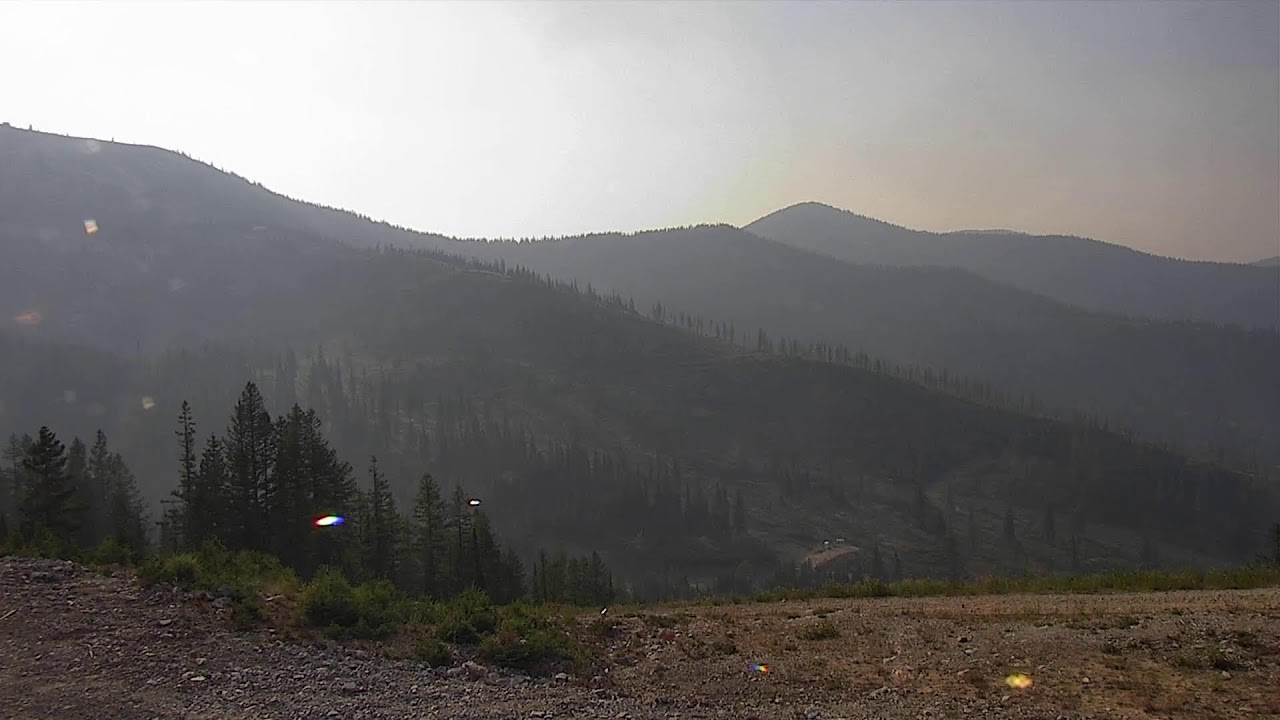 Schweitzer Webcam: Rowdy Grouse