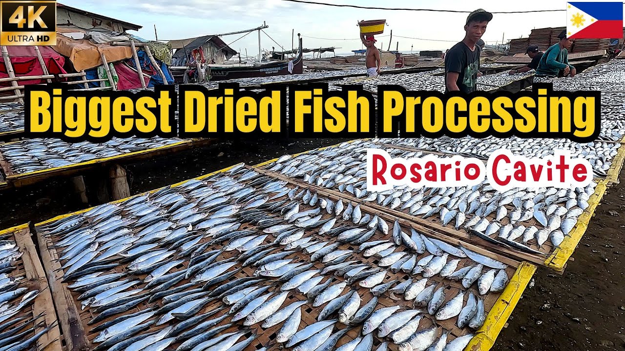 Inside The Biggest Dried Fish Business in Cavite Philippines
