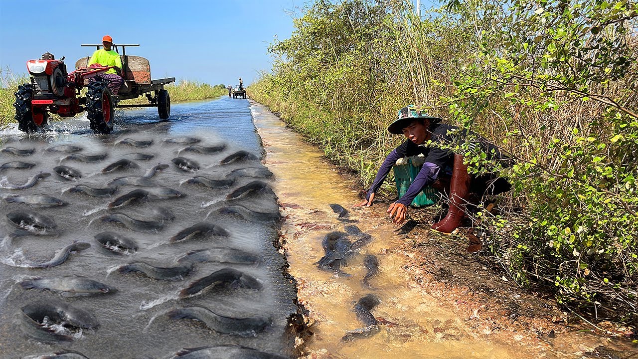Unique Catching & Catfish in Flooded Village 2022 - @UniqueRealFishing
