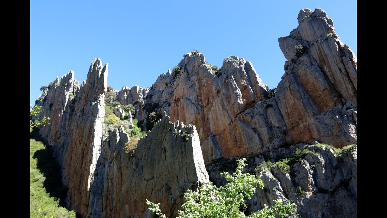 RIGLOS 2025