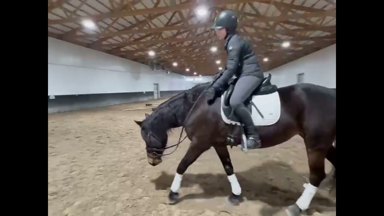 Harlow lateral work 