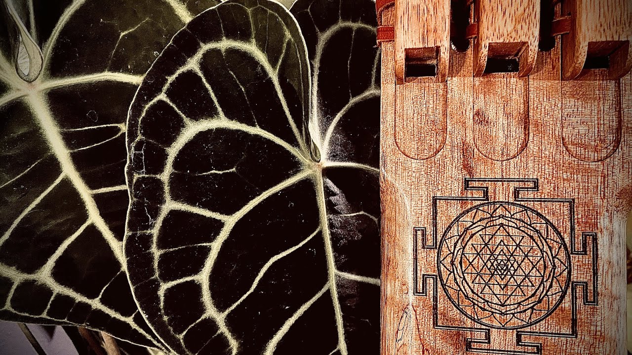 Triple Flute Meditation - Mountain Dream - Relaxing Native American Style Drone Flute Music - 432Hz