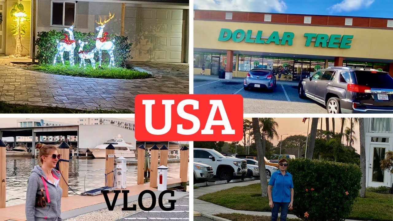 Vlog#8 - A Walk, Dollar Tree Haul & a Cozy Cooking Evening🛒🍳🐿️