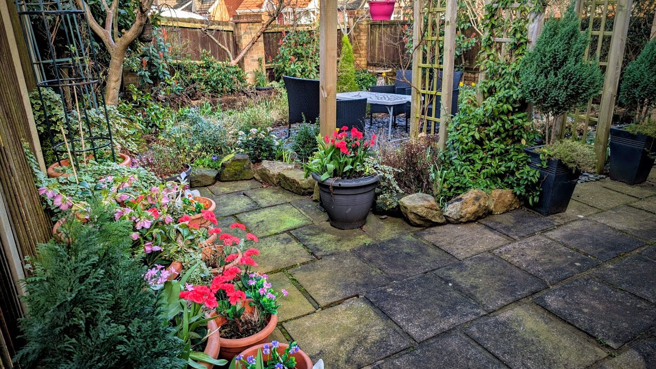 March Garden tour 2026 / spring is almost here in my home garden UK