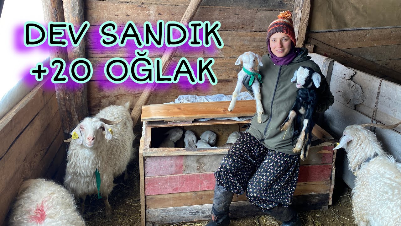 BABAMLA OĞLAKLARA DEV SANDIK YAPTIK💯MART🧊KAZMA KÜREK YAKTIRACAK‼️⛏